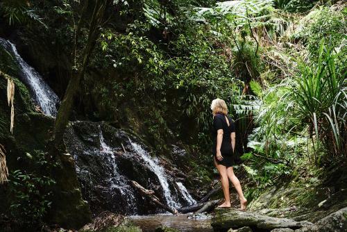 Hotel Daintree Eco Lodge & Spa