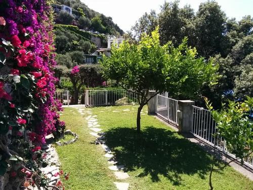 Bed & Breakfast La Maliosa D'arienzo