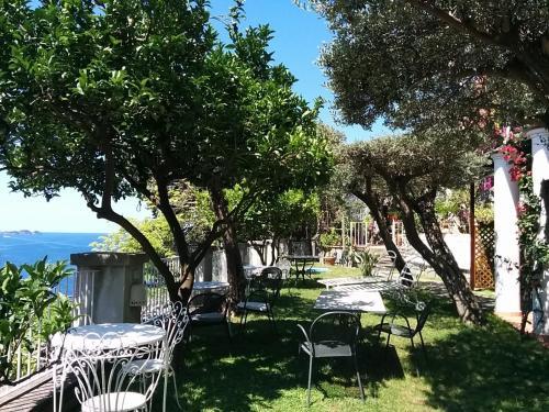 Bed & Breakfast La Maliosa D'arienzo