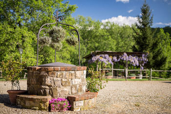Le Cetinelle B&B