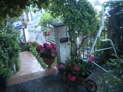 Bed & Breakfast Cinqueterre Holidays