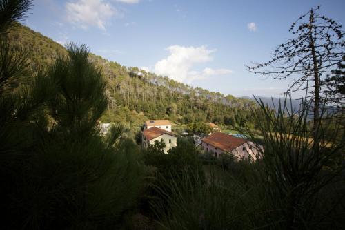 Hotel La Rossola Resort