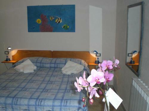 Bed & Breakfast Il Gelsomino