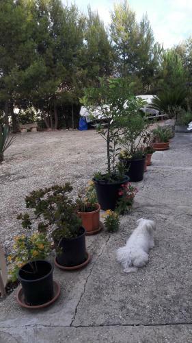 Bed & Breakfast Baglio Ferlito