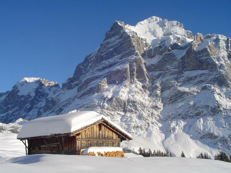 Hotel Tschuggen