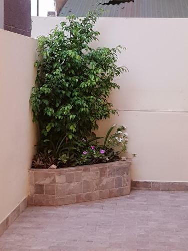 Apartamento Surf House Cabo Verde
