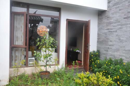 Dali Cangshan Villa
