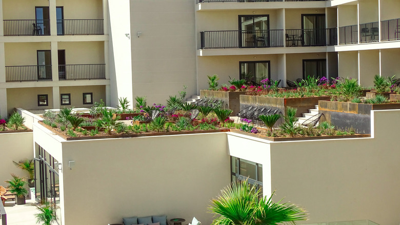 Hotel Paradiso Garden
