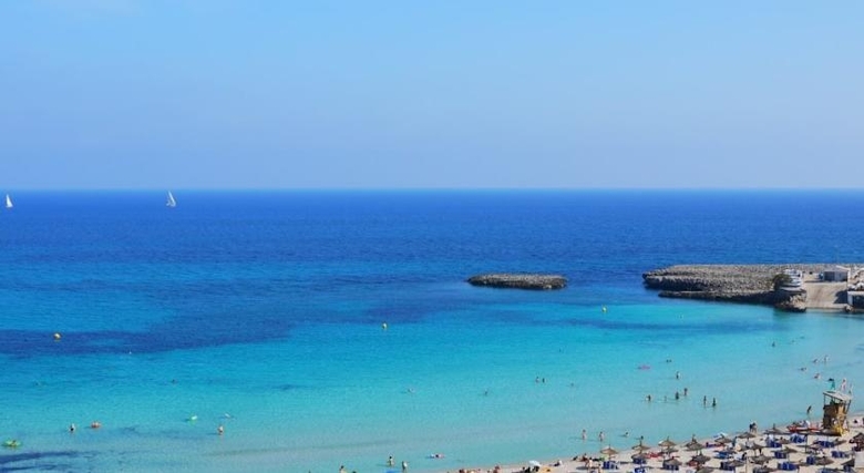 Apartamentos Playa Moreia