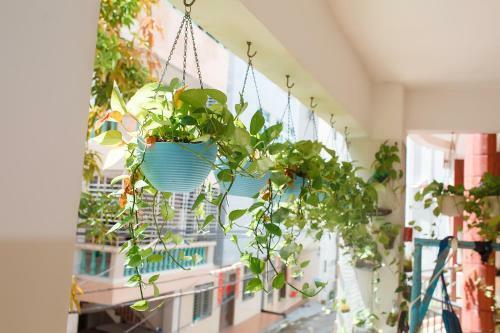 Sanya Nanting Youth Hostel