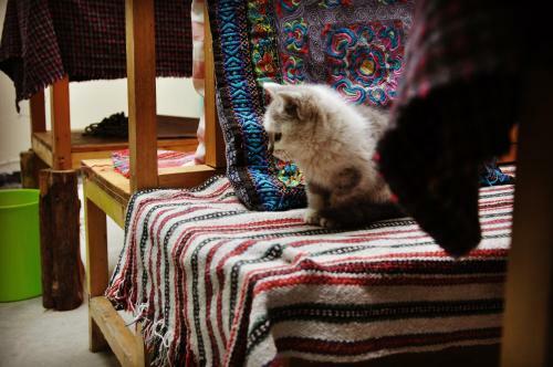 Bed & Breakfast Shicuo Guesthouse