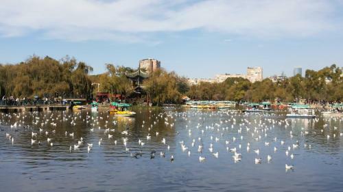 Kunming Green Lake Cottage