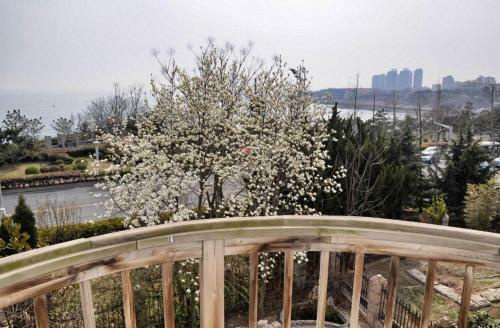 Qingdao Seaview Villa