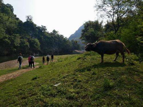 Yangshuo Backpacker Youth Hostel
