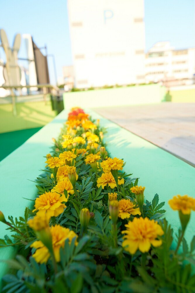 Hostal 24 Guesthouse Jagalchi