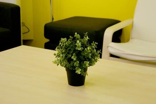 Albergue Seoul Dalbit Dongdaemun Guesthouse
