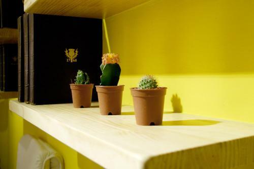 Albergue Seoul Dalbit Dongdaemun Guesthouse
