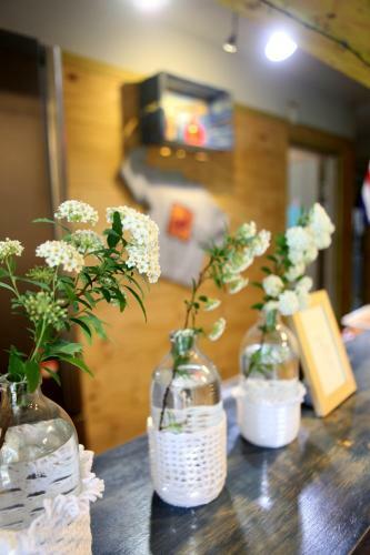 Hostal Basecamp Guesthouse