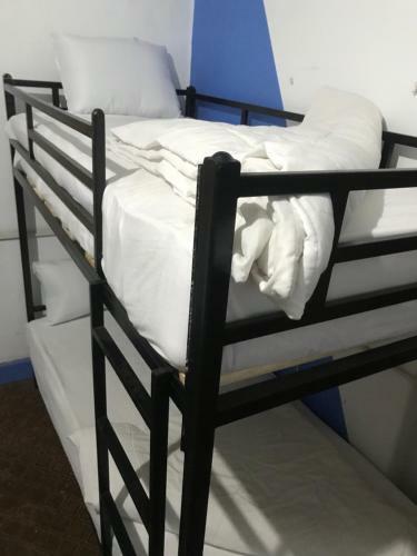 Albergue Museum House Hotel