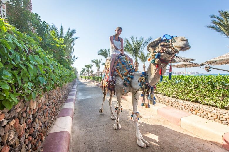 Hotel Sunny Days El Palacio Resort & Spa