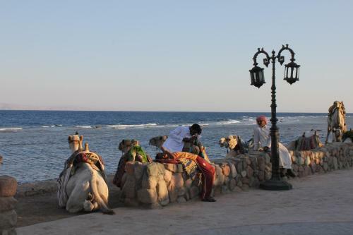 La Reine Dahab Hotel