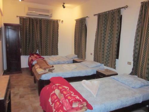 Albergue Dahab Divers