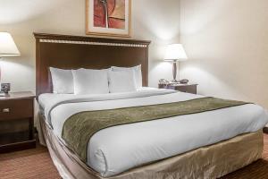 Hotel Comfort Suites