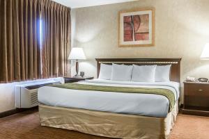 Hotel Comfort Suites