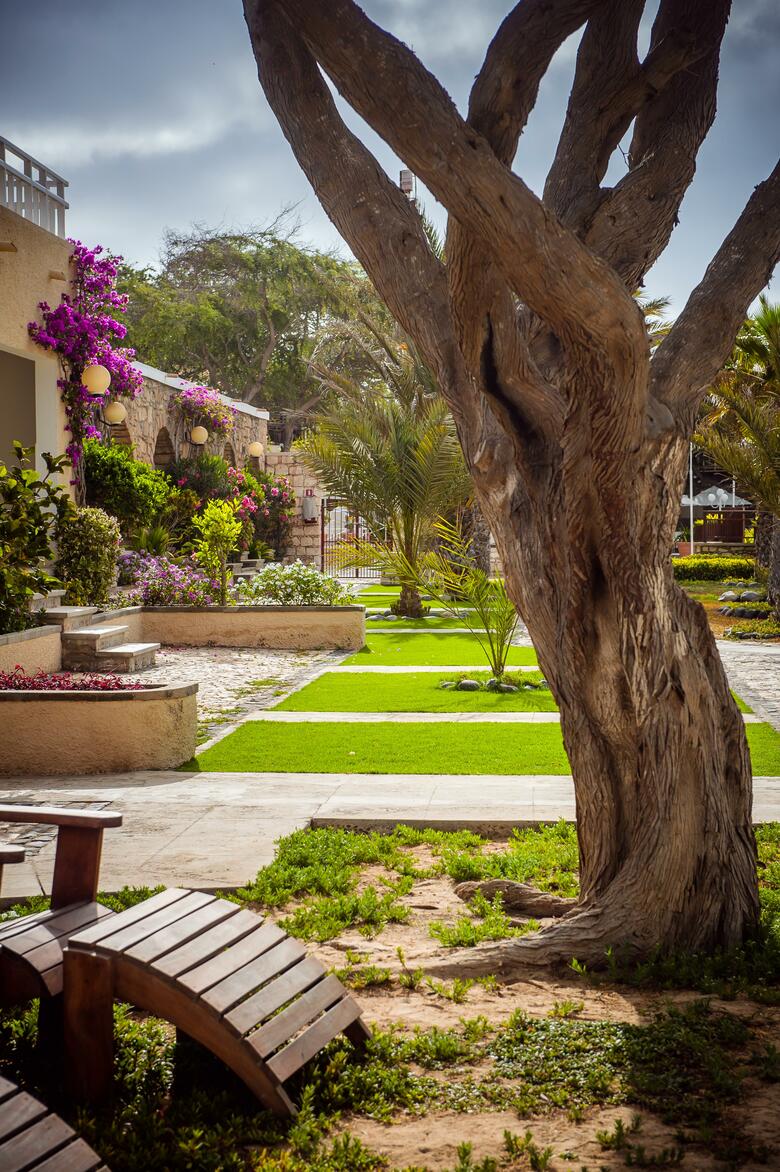Hotel Morabeza