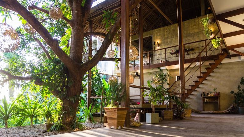 Hotel Bluemango Rooms & Villas