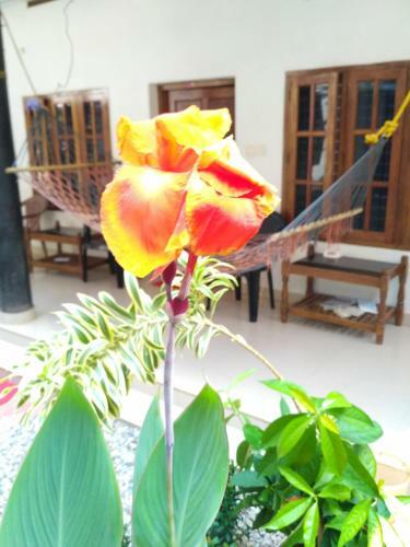 Kaithakuzhi Home Stay