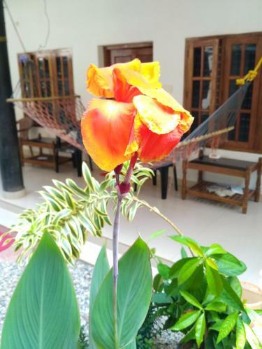 Kaithakuzhi Home Stay