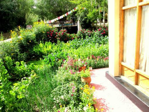 Hostal New Moon Guest House