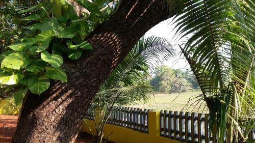 Hostal Feyona Guest House
