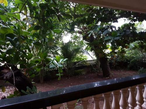 Hostal Feyona Guest House