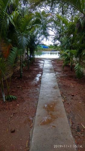 Hotel The Bay Agonda