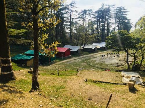 Northern Adventures & Camps