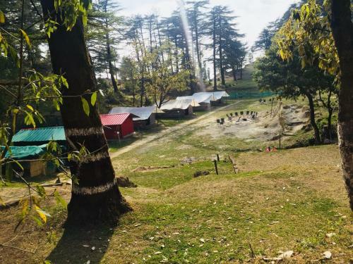 Northern Adventures & Camps