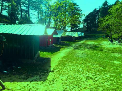 Northern Adventures & Camps