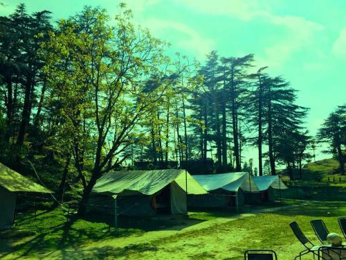 Northern Adventures & Camps