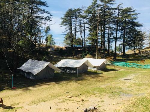 Northern Adventures & Camps