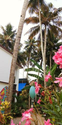 Hotel Mad About Coco