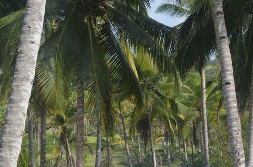 Hotel Kaveri Tourist Home