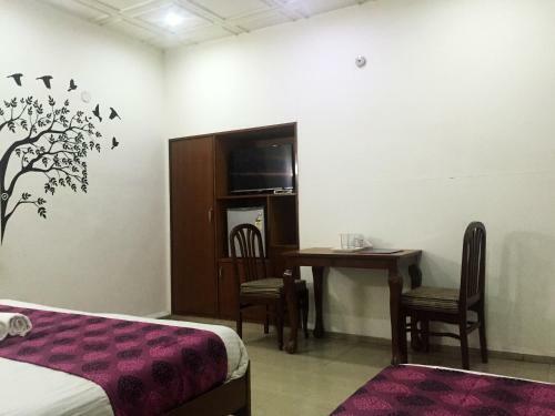 Bed & Breakfast Hotel Veenus International
