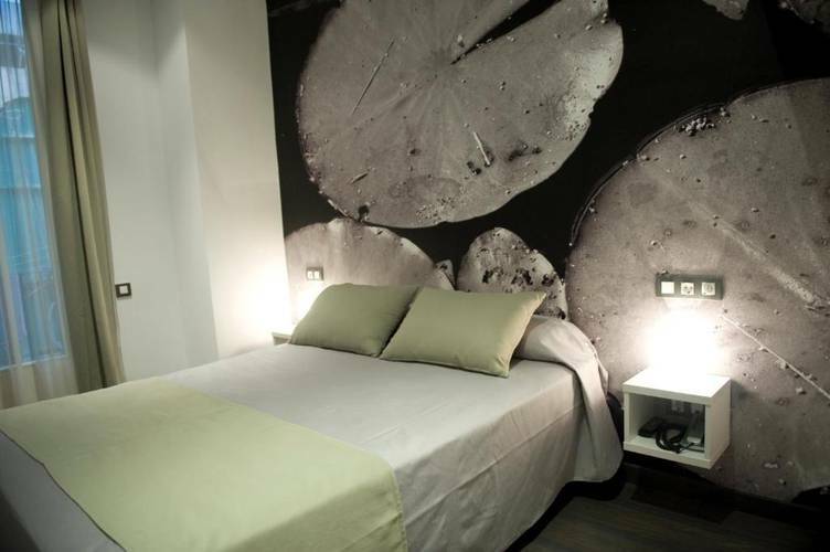 Hotel Curious
