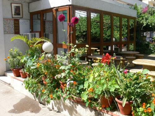 Bed & Breakfast Petite Homestays
