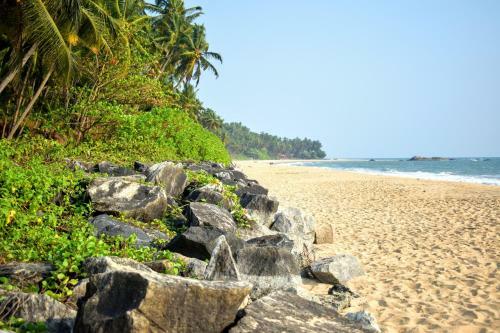 Hotel Club 7 Beach Resort