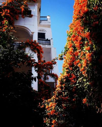 Bed & Breakfast Dia Homestay