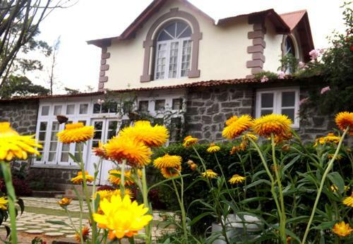 Hotel Lilly's Valley Resort