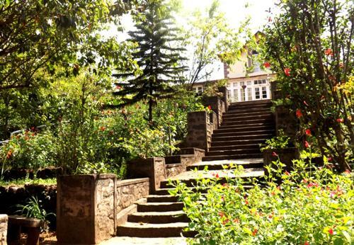 Hotel Lilly's Valley Resort